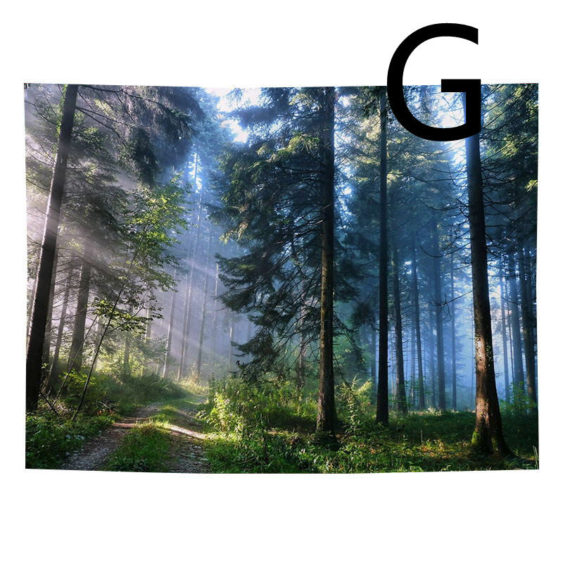 c4e9cb9652d8a5816d2b6f11f62b4635