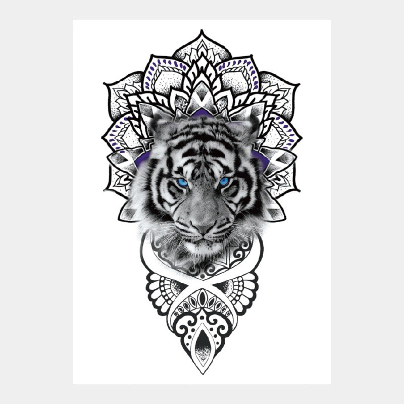 e0d539ae9f195d2e62fe320d2afb33c4