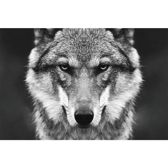 94147fb4f874f375ba044517f48f29f6