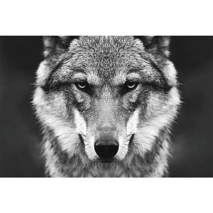 94147fb4f874f375ba044517f48f29f6
