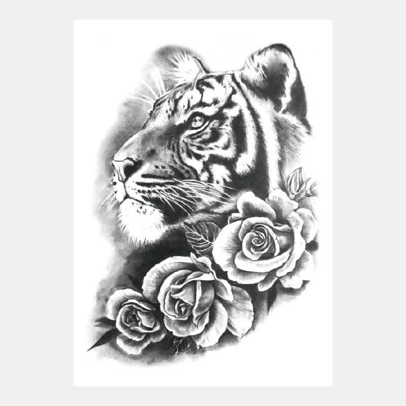 11b4c18fc128900bc595a7c94dacdaa7